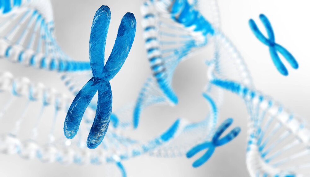 a picture of a chromosome