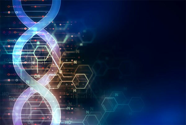 Best-DNA-Paternity-Tests