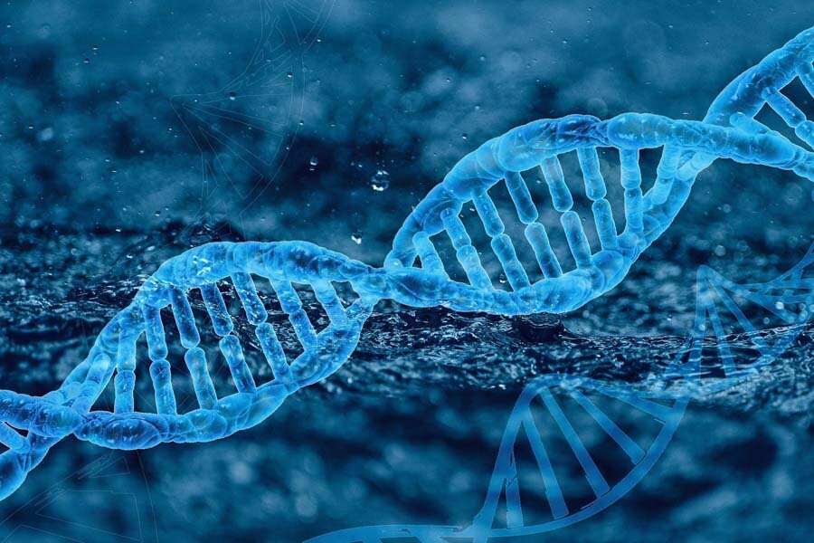 CircleDNA Review