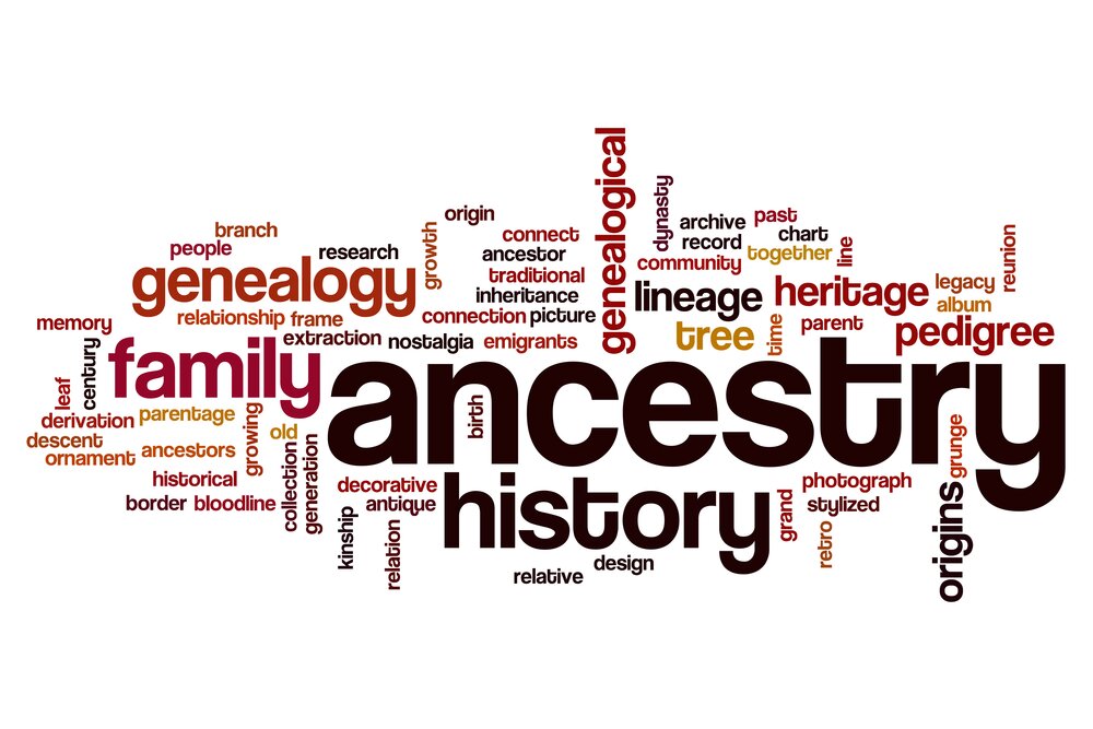 Testing Possibilities About My Ancestry