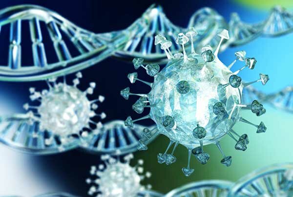 What-is-the-backbone-of-DNA